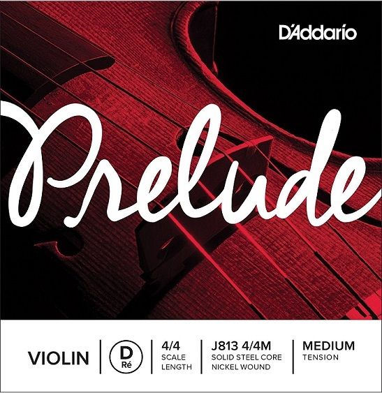 D'Addario J813