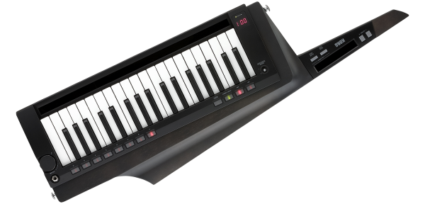 Korg RK-100S 2 BK