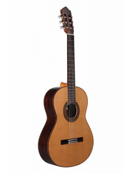 ALTAMIRA N300 
