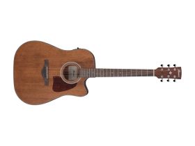 Ibanez AW54CE-OPN