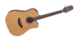 Takamine GD20CE-NS