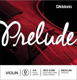 D'Addario J813