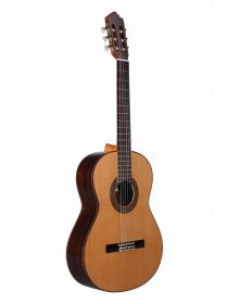 ALTAMIRA N300 
